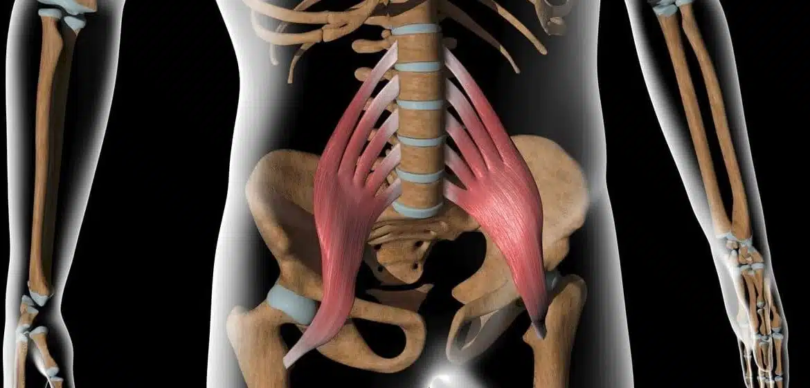 Dolor en el psoas - causas, síntomas y tratamiento